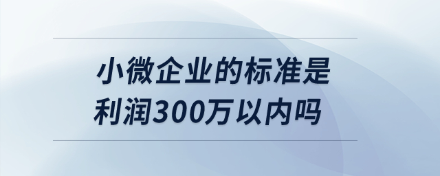 小微企業(yè)的標準是利潤300萬以內(nèi)嗎？