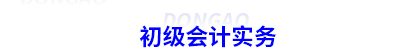 初級(jí)會(huì)計(jì)實(shí)務(wù)