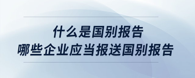 什么是國(guó)別報(bào)告？哪些企業(yè)應(yīng)當(dāng)報(bào)送國(guó)別報(bào)告？