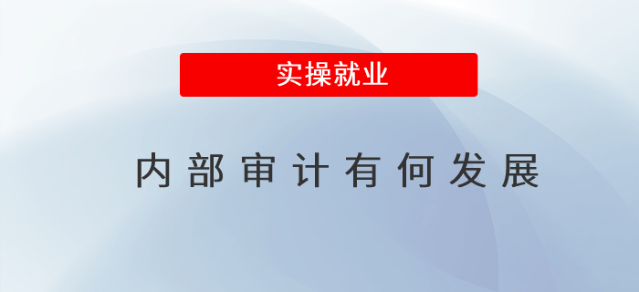 內(nèi)部審計(jì)有何發(fā)展 內(nèi)部審計(jì)有何發(fā)展