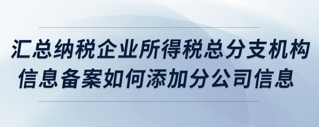 匯總納稅企業(yè)所得稅總分支機構信息備案如何添加分公司信息？