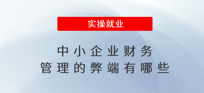 中小企業(yè)財(cái)務(wù)管理的弊端有哪些 中小企業(yè)財(cái)務(wù)管理的弊端有哪些