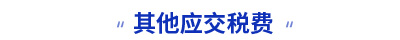 其他應(yīng)交稅費(fèi) 其他應(yīng)交稅費(fèi)