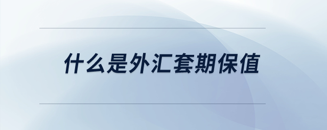 什么是外匯套期保值？