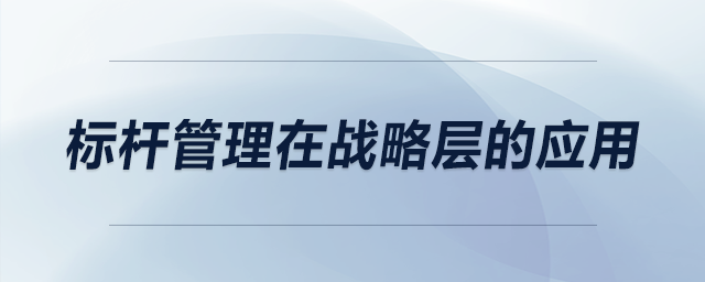標(biāo)桿管理在戰(zhàn)略層的應(yīng)用 標(biāo)桿管理在戰(zhàn)略層的應(yīng)用