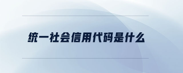 統(tǒng)一社會信用代碼是什么 統(tǒng)一社會信用代碼是什么