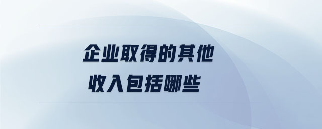 企業(yè)取得的其他收入包括哪些 企業(yè)取得的其他收入包括哪些