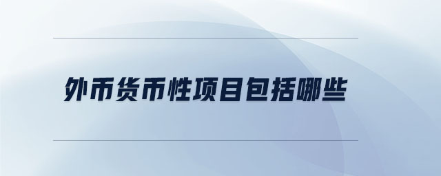 外幣貨幣性項(xiàng)目包括哪些 外幣貨幣性項(xiàng)目包括哪些