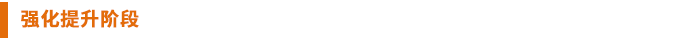 強(qiáng)化提升階段