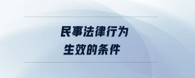 民事法律行為生效的條件 民事法律行為生效的條件