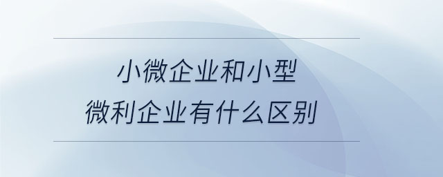 小微企業(yè)和小型微利企業(yè)有什么區(qū)別