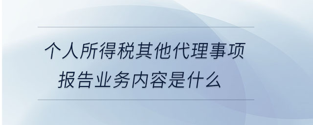 個(gè)人所得稅其他代理事項(xiàng)報(bào)告業(yè)務(wù)內(nèi)容是什么
