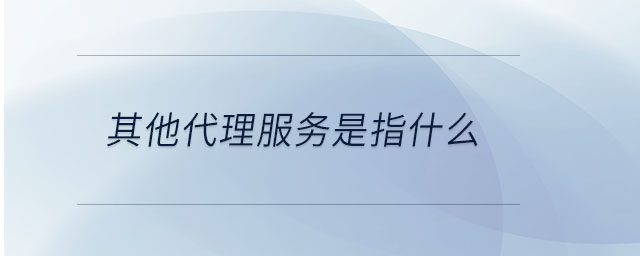 其他代理服務是指什么 其他代理服務是指什么