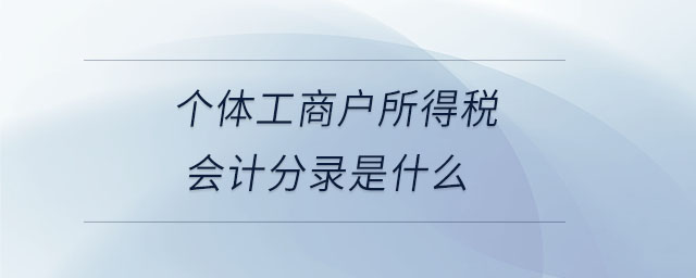 個體工商戶所得稅會計分錄是什么