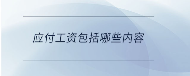 應(yīng)付工資包括哪些內(nèi)容