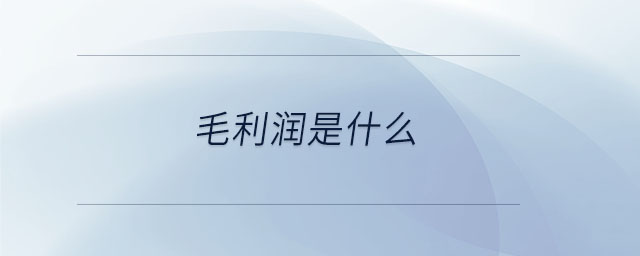 毛利潤(rùn)是什么