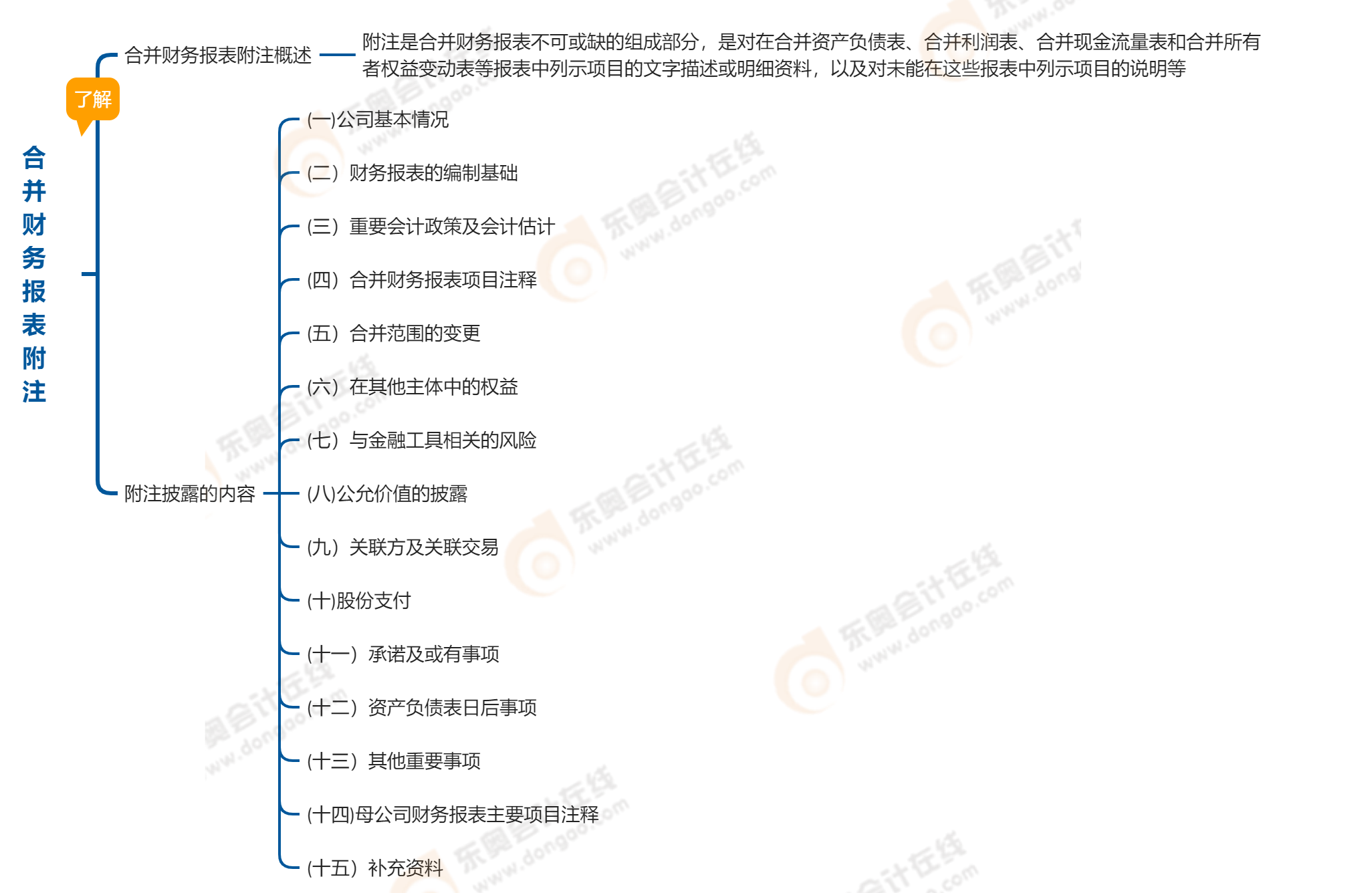 中級(jí)會(huì)計(jì)實(shí)務(wù)第二十一章合并財(cái)務(wù)報(bào)表附注