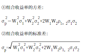 組合風險衡量指標 組合風險衡量指標