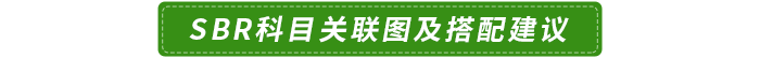 SBR科目關(guān)聯(lián)圖及搭配建議