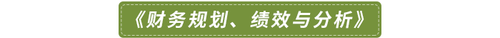 《財(cái)務(wù)規(guī)劃、績效與分析》