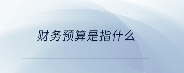 財務(wù)預(yù)算是指什么？