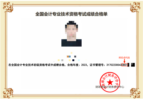 初級(jí)會(huì)計(jì)職稱(chēng)