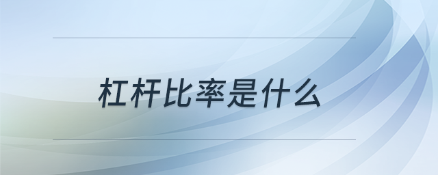 杠桿比率是什么