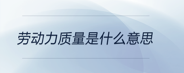 勞動力質量是什么意思