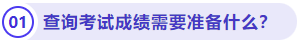 查詢考試成績(jī)需要準(zhǔn)備什么