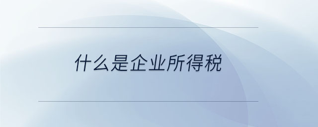 什么是企業(yè)所得稅 什么是企業(yè)所得稅