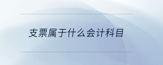 支票屬于什么會計科目 支票屬于什么會計科目