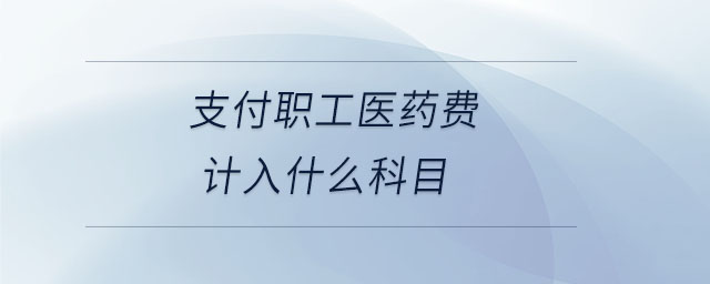 支付職工醫(yī)藥費計入什么科目
