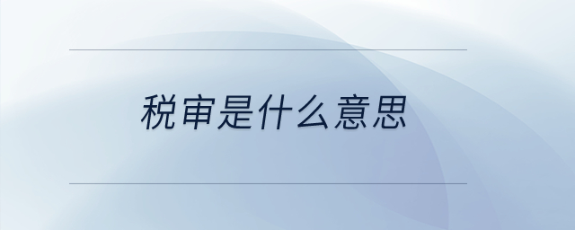 稅審是什么意思？