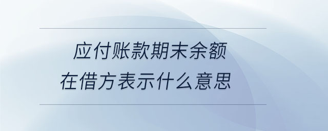 應(yīng)付賬款期末余額在借方表示什么意思