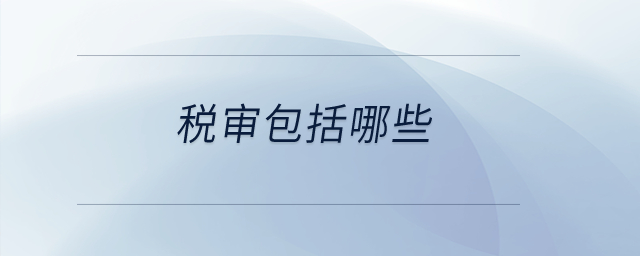 稅審包括哪些？
