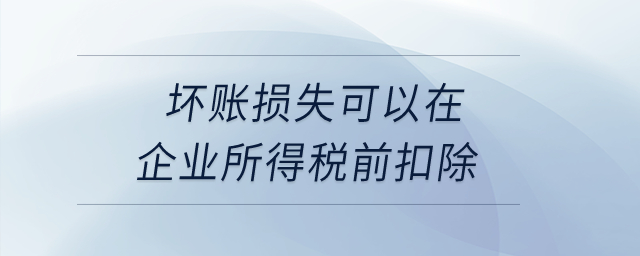 壞賬損失可以在企業(yè)所得稅前扣除? 壞賬損失可以在企業(yè)所得稅前扣除?