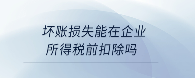 壞賬損失能在企業(yè)所得稅前扣除嗎？