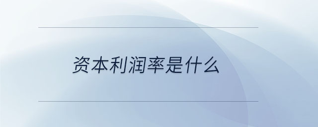 資本利潤(rùn)率是什么