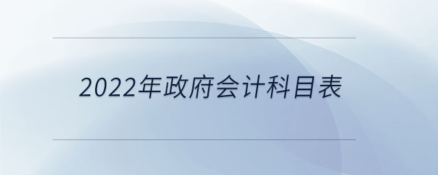 2022年政府會計科目表 2022年政府會計科目表