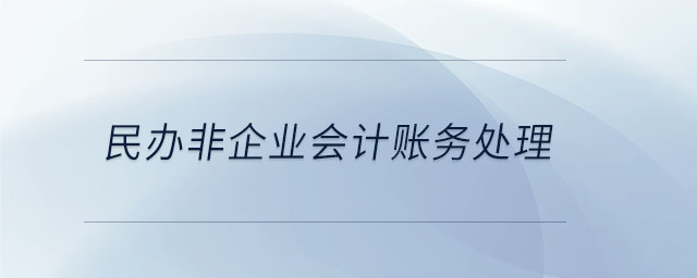 民辦非企業(yè)會(huì)計(jì)賬務(wù)處理 民辦非企業(yè)會(huì)計(jì)賬務(wù)處理