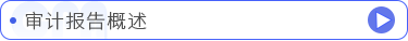 審計報告概述