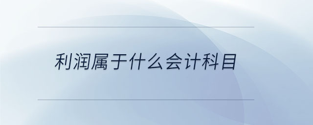 利潤屬于什么會計科目 利潤屬于什么會計科目