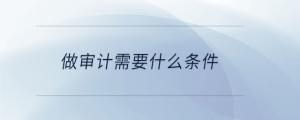 做審計需要什么條件
