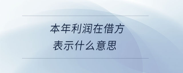 本年利潤在借方表示什么意思 本年利潤在借方表示什么意思
