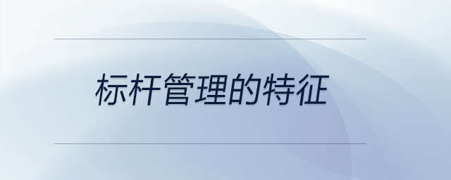 標桿管理的特征 標桿管理的特征