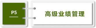 高級(jí)業(yè)績(jī)管理-P5