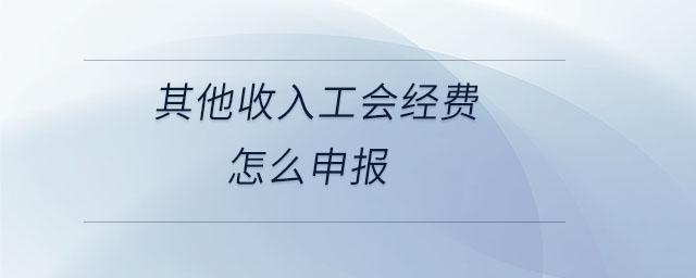 其他收入工會經(jīng)費(fèi)怎么申報