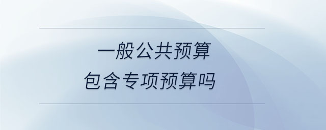 一般公共預(yù)算包含專項(xiàng)預(yù)算嗎