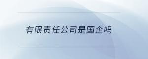 有限責(zé)任公司是國企嗎