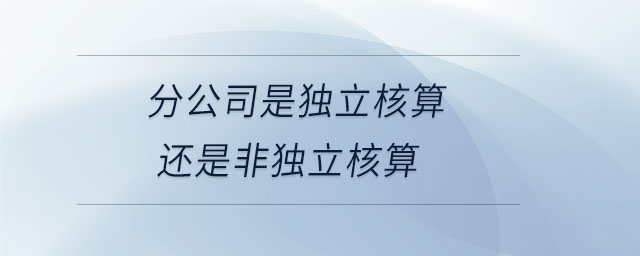 分公司是獨(dú)立核算還是非獨(dú)立核算 分公司是獨(dú)立核算還是非獨(dú)立核算